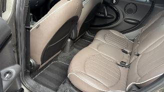 Mini Cooper COUNTRYMAN picture 11
