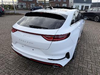 Kia Pro cee d 1.6 T-GDi  150 Kw GT-Line automaat picture 14