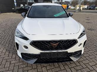 Cupra Formentor 2.0 -180 Kw Automaat VZ picture 9