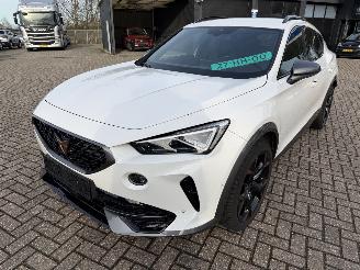 Cupra Formentor 2.0 -180 Kw Automaat VZ picture 7