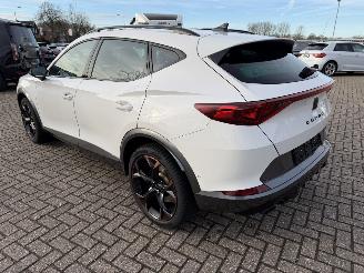 Cupra Formentor 2.0 -180 Kw Automaat VZ picture 10