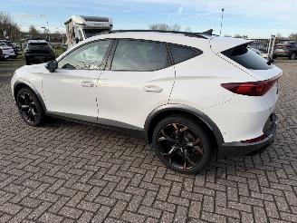 Cupra Formentor 2.0 -180 Kw Automaat VZ picture 4