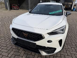 Cupra Formentor 2.0 -180 Kw Automaat VZ picture 8