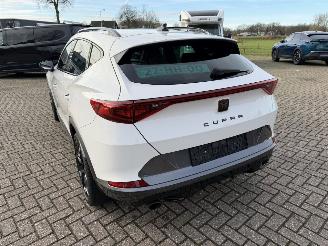 Cupra Formentor 2.0 -180 Kw Automaat VZ picture 2