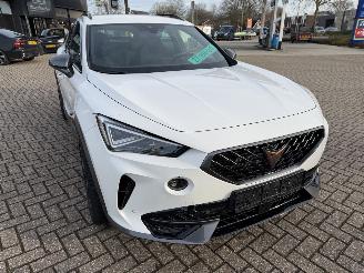 Cupra Formentor 2.0 -180 Kw Automaat VZ picture 11