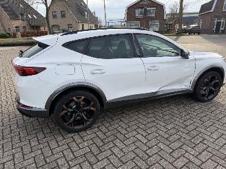 Cupra Formentor 2.0 -180 Kw Automaat VZ picture 18