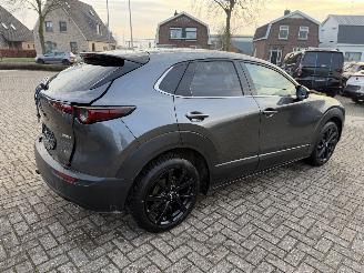Mazda CX-30 2.5 MHEV 104 Kw Automaat Homura picture 11