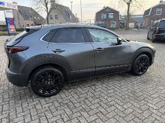Mazda CX-30 2.5 MHEV 104 Kw Automaat Homura picture 10