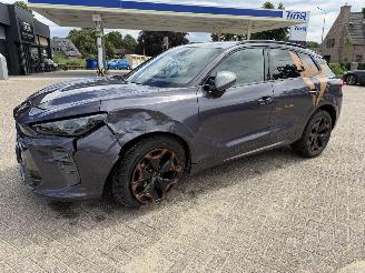 Cupra Terramar 1.5 eTSi 150 Pk automaat picture 8