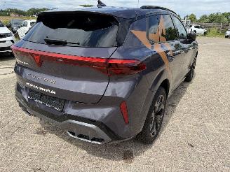 Cupra Terramar 1.5 eTSi 150 Pk automaat picture 15