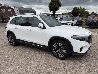 Schadeauto Mercedes EQB 250+ Elektro 140 Kw 2026/3