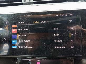 Audi E-tron e-tron (GEN), SUV, 2018 / 2023 55 quattro picture 31