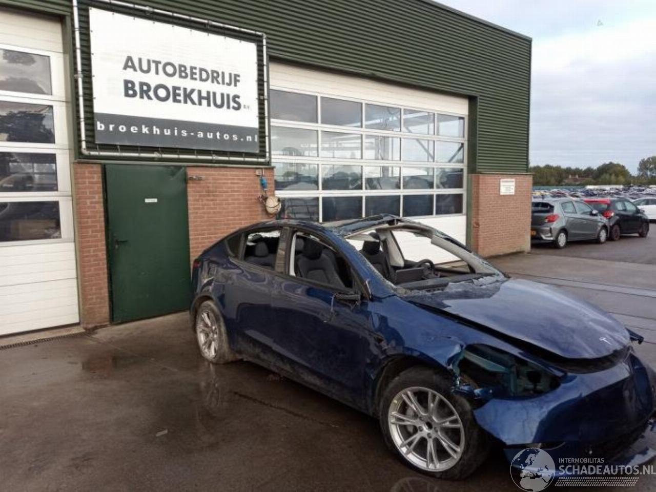 Tesla Model Y Model Y (5YJY), SUV, 2019 / 2025 RWD