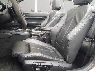 BMW 2-serie Cabrio M235i High Executive picture 16