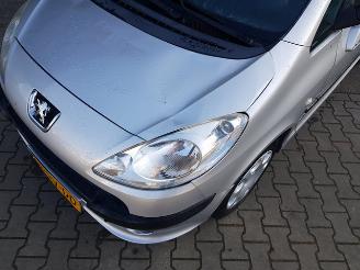 Peugeot 1007 1.4 Gentry picture 10