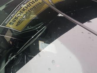 Renault Arkana 1.6 E-Tech Hybrid 145 R.S. Line picture 22