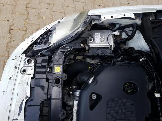 Fiat Punto Evo 0.9 TwinAir Young picture 13