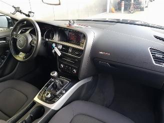 Audi A5 Sportback 1.8 TFSI Pro Line picture 18