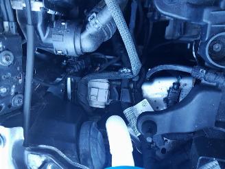 Volkswagen Polo 1.0 TSI Highline picture 14