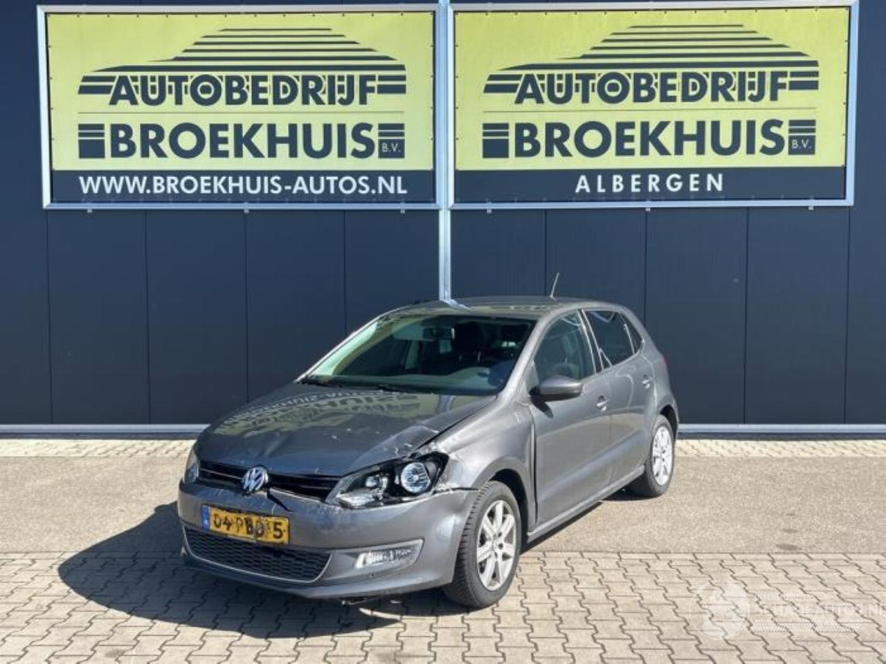 Volkswagen Polo Polo V (6R), Hatchback, 2009 / 2017 1.4 16V
