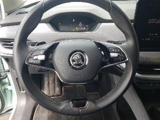 Skoda Enyaq iV 80 picture 19