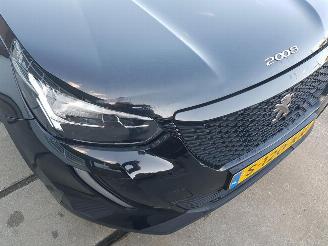 Peugeot 2008 1.2 PureTech Active Pack picture 9