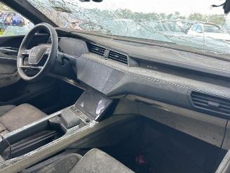 Audi E-tron e-tron (GEN), SUV, 2018 / 2023 55 quattro picture 8