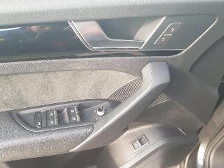 Audi Q5 3.0 TFSI SQ5 quattro Pro Line Plus picture 26