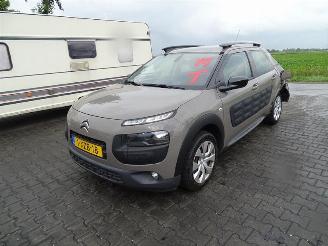 Citroën C4 cactus 1.2 12v picture 3