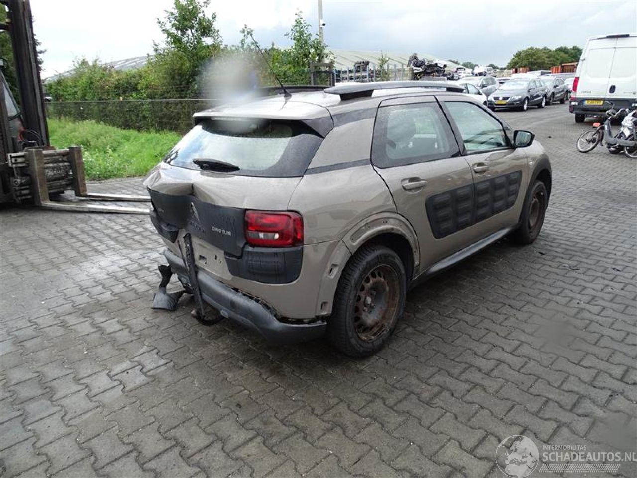 Citroën C4 cactus 1.2 12v
