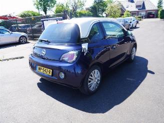 Schadeauto Opel Adam 1.2 16v 2013/12
