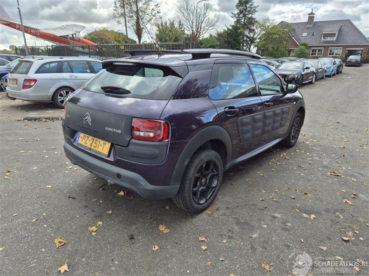 Citroën C4 cactus 1.2 12V