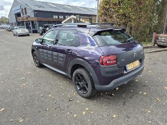 Citroën C4 cactus 1.2 12V picture 2