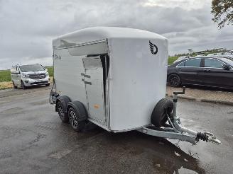 Cheval Liberte Debon  picture 4