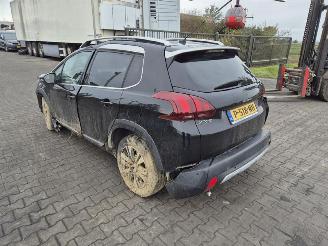 Peugeot 2008 1.2 12V picture 2