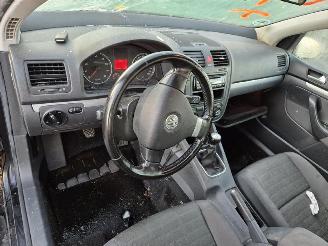 Volkswagen Golf 1.6  FSi picture 5