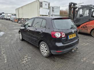 Volkswagen Golf plus 1.6 FSi picture 2