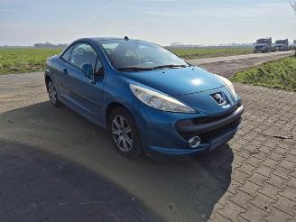 Peugeot 206 CC 2.0 16v picture 4