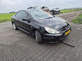 Peugeot 307 CC 2.0 picture 4