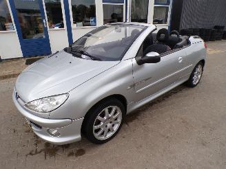 Peugeot 206 CC  1.6-16v Quiksilver picture 5