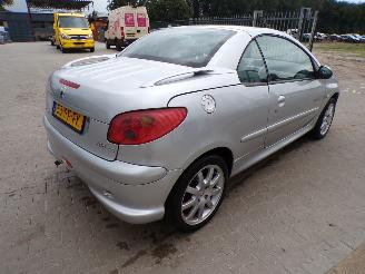 Peugeot 206 CC  1.6-16v Quiksilver picture 4