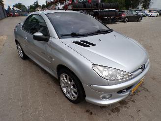Peugeot 206 CC  1.6-16v Quiksilver picture 2