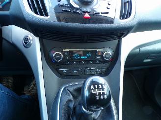 Ford C-Max 1.6 EcoBoost Titaniun picture 8