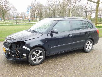 Schadeauto Skoda Fabia 1.2 2010/6