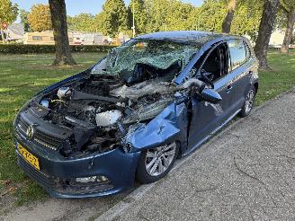 Vaurioauto  passenger cars Volkswagen   2017/1