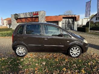 Lancia Musa  picture 6