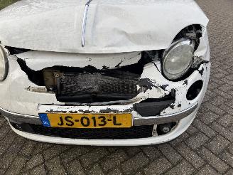 Fiat 500  picture 12