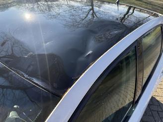 Volkswagen Polo  picture 16