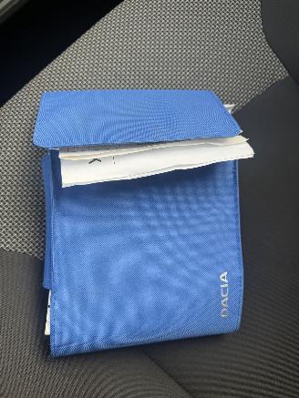 Dacia Lodgy  picture 30