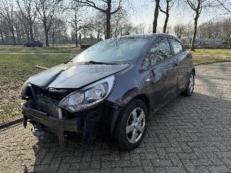  Kia Rio  2012/1